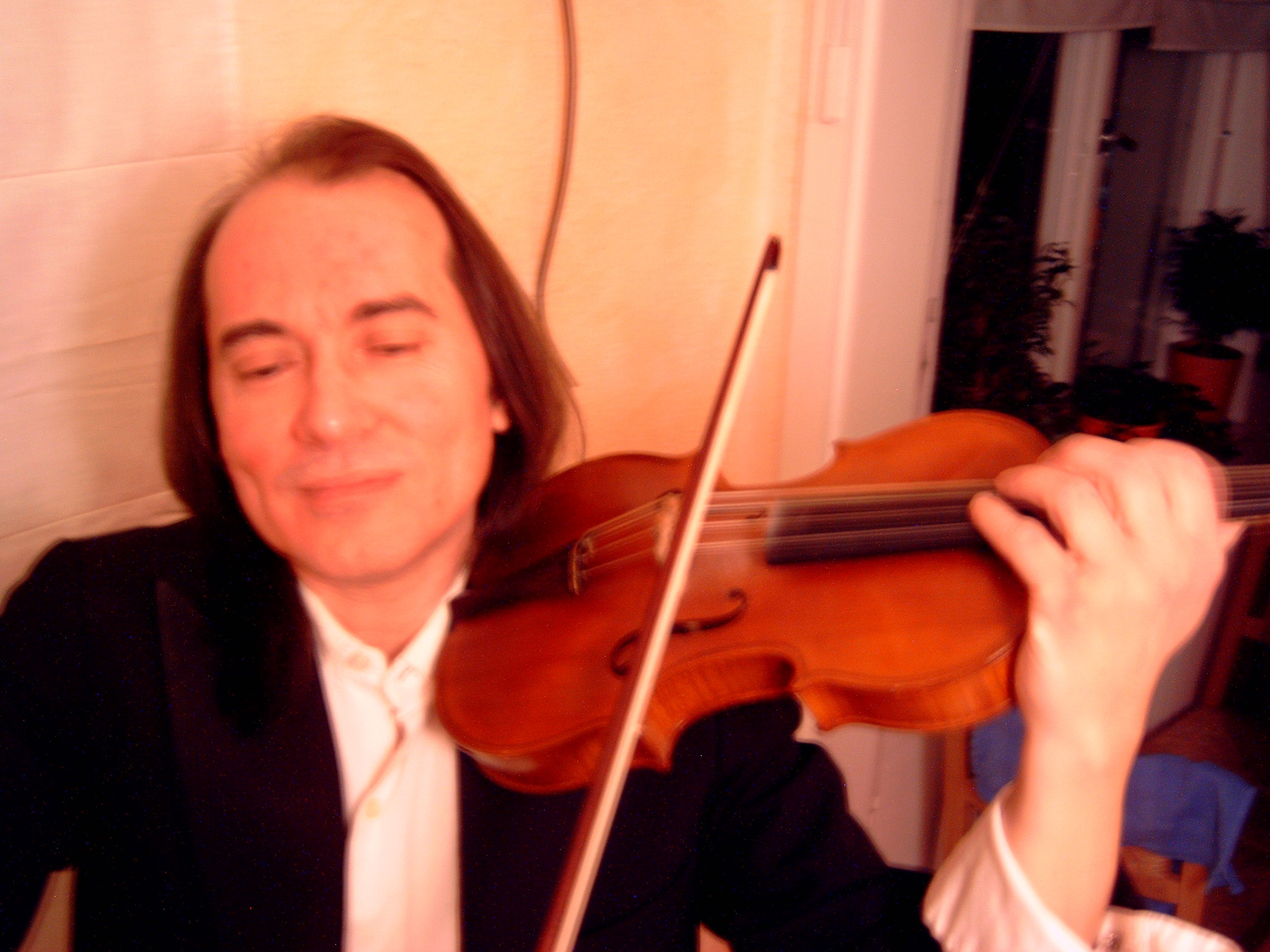 Aspekte der Geigenhaltung