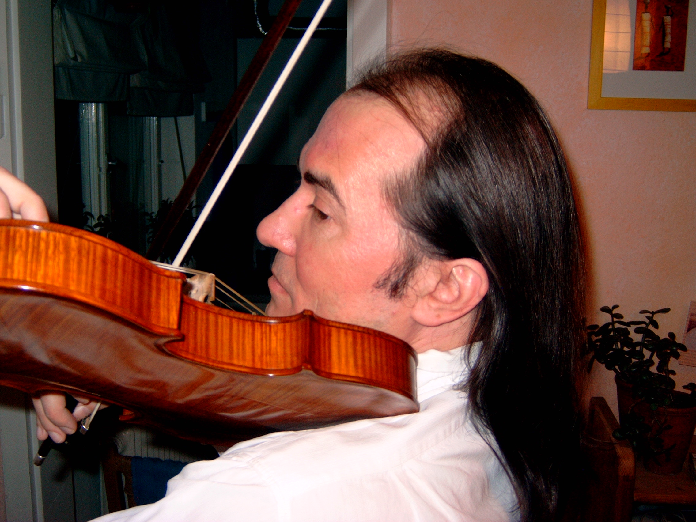 Aspekte der Geigenhaltung